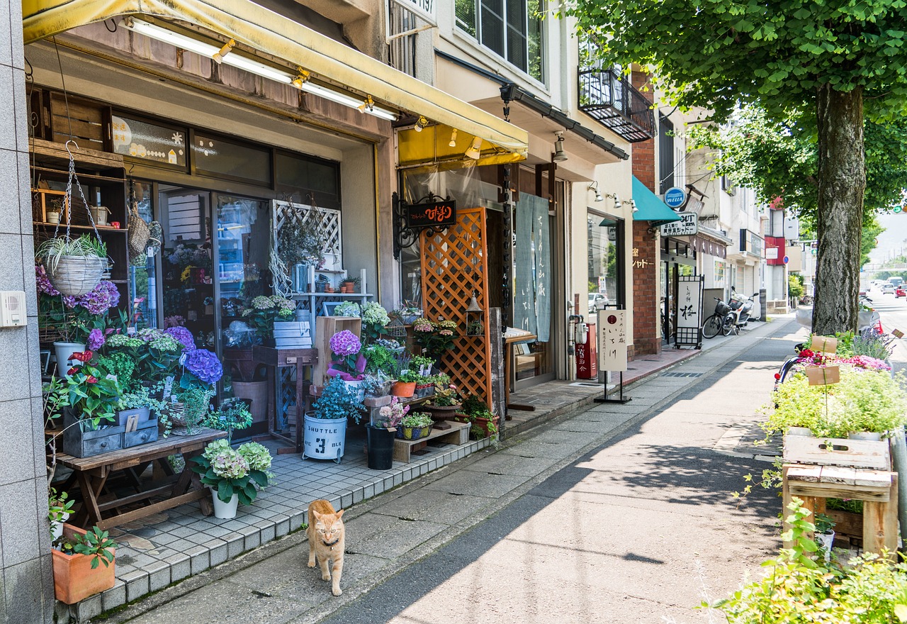 京都有母婴店吗？