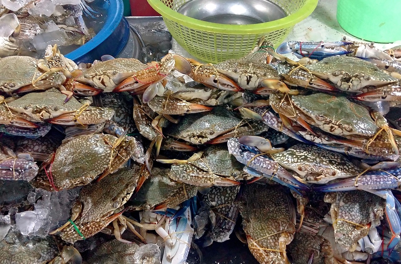 榆林垂钓美食，垂钓之余，尽享美食盛宴