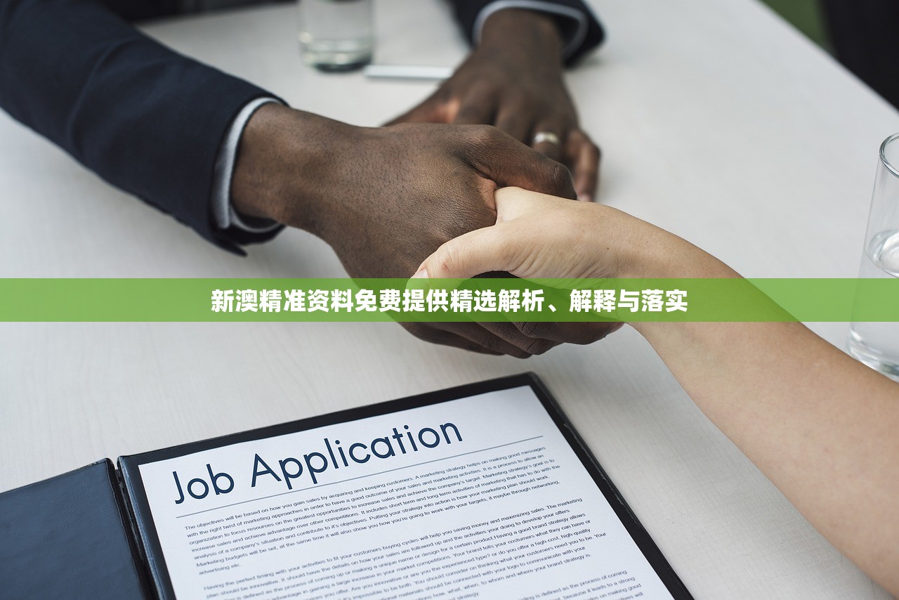 新澳精准资料免费提供精选解析、解释与落实