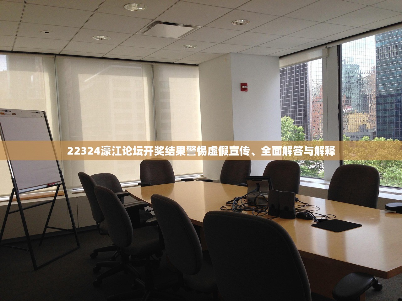 22324濠江论坛开奖结果警惕虚假宣传、全面解答与解释