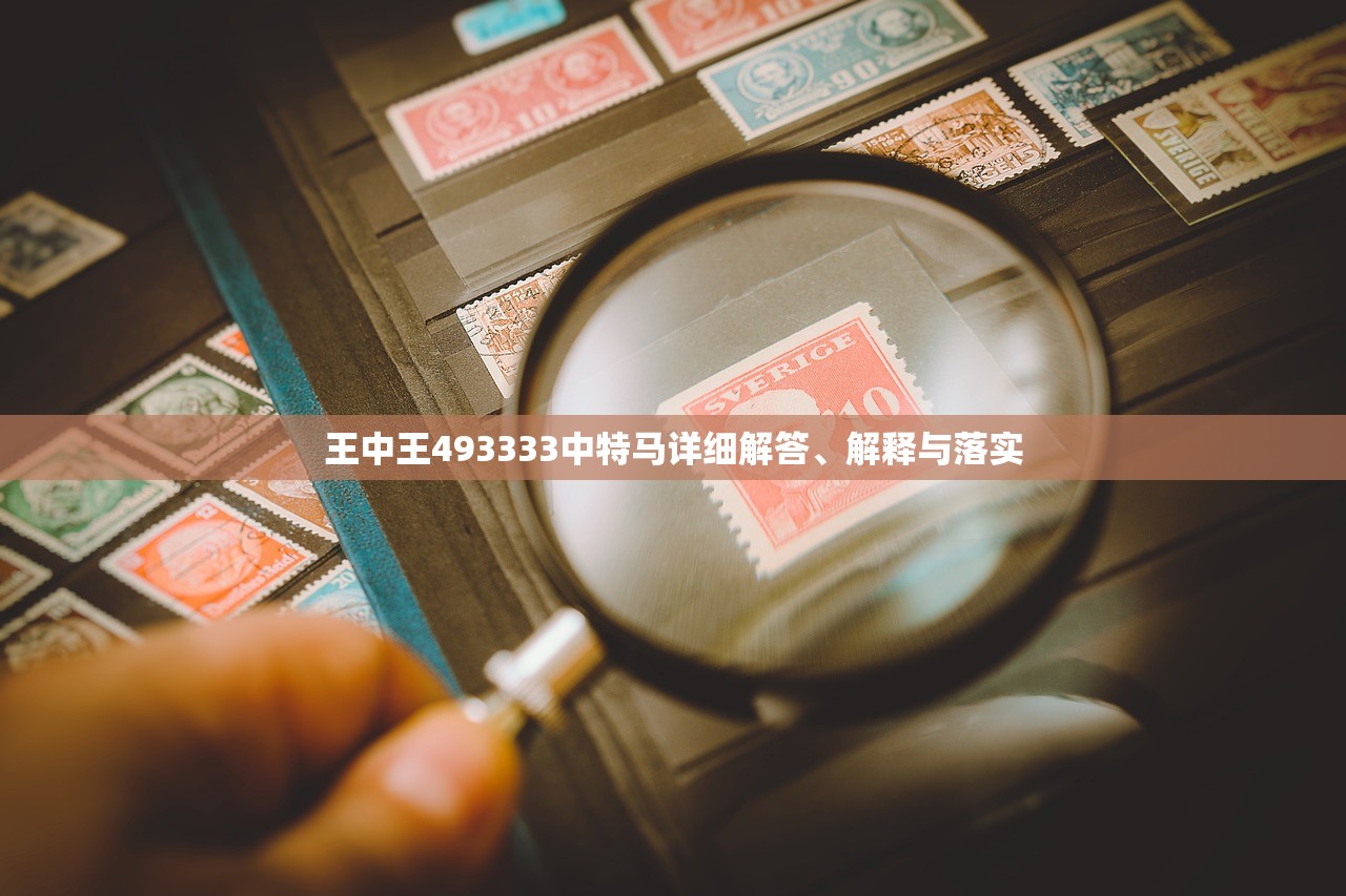 王中王493333中特马详细解答、解释与落实