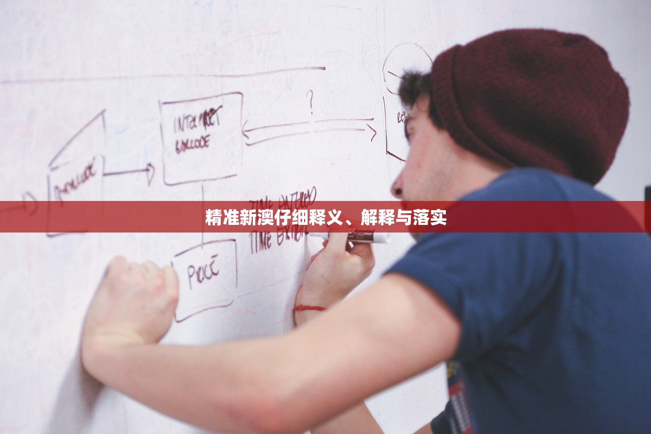 精准新澳仔细释义、解释与落实