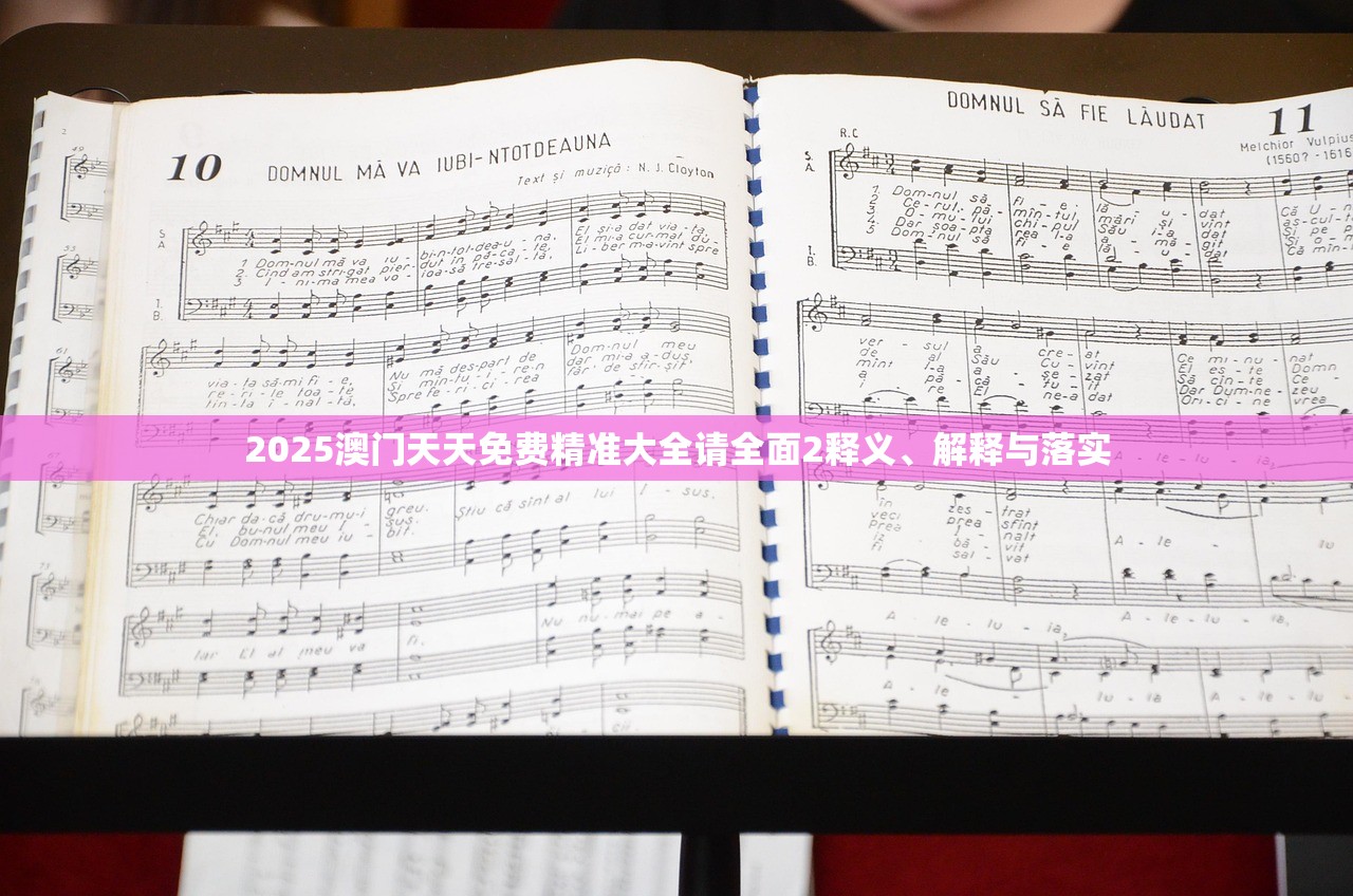 2025澳门天天免费精准大全请全面2释义、解释与落实