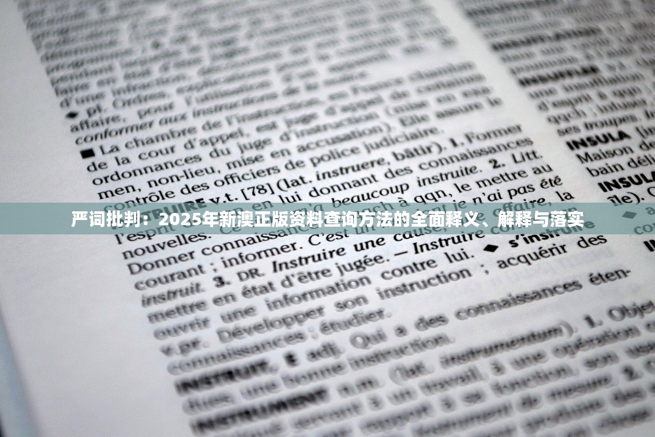 严词批判：2025年新澳正版资料查询方法的全面释义、解释与落实