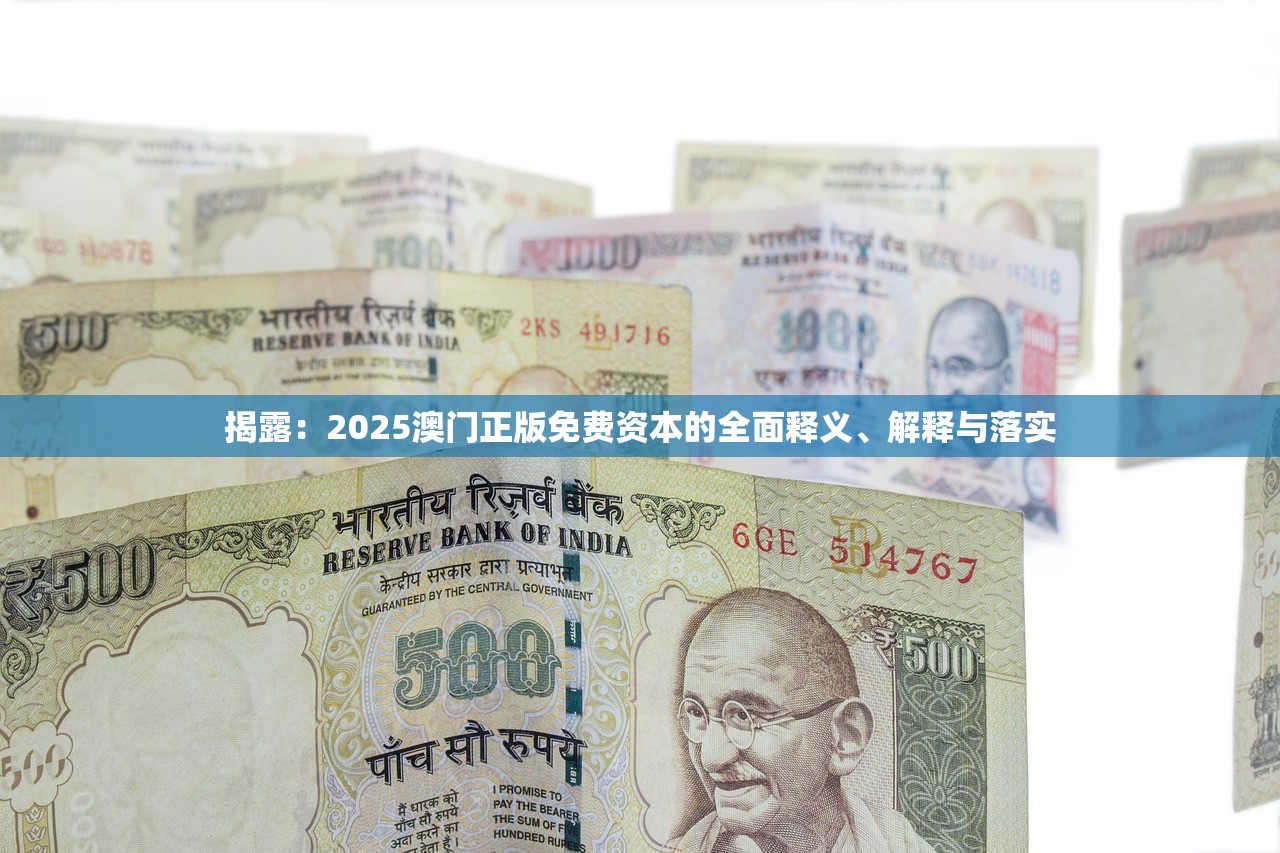 揭露：2025澳门正版免费资本的全面释义、解释与落实