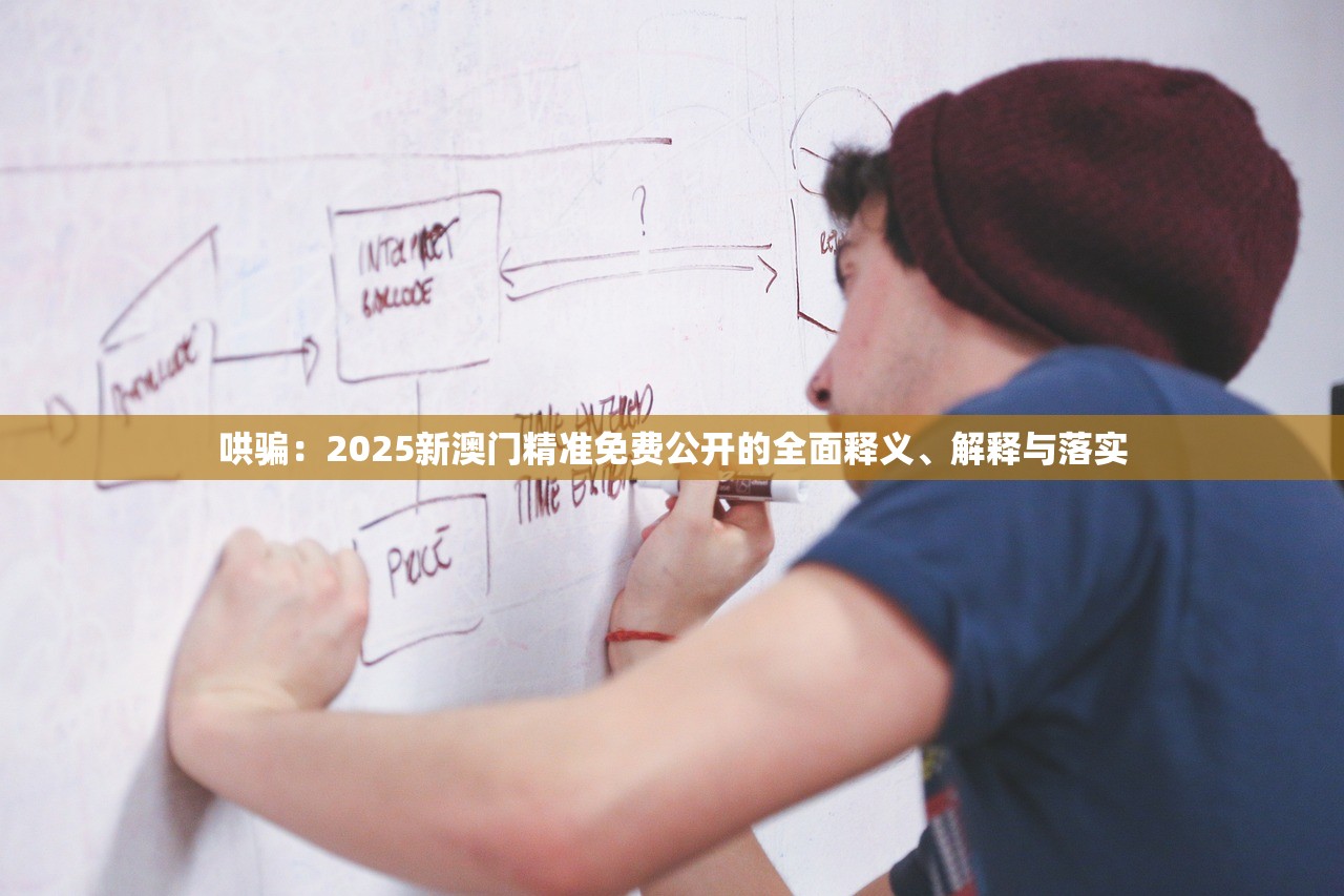 哄骗：2025新澳门精准免费公开的全面释义、解释与落实