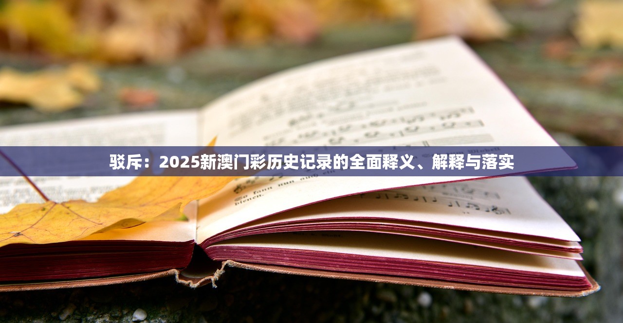 驳斥：2025新澳门彩历史记录的全面释义、解释与落实