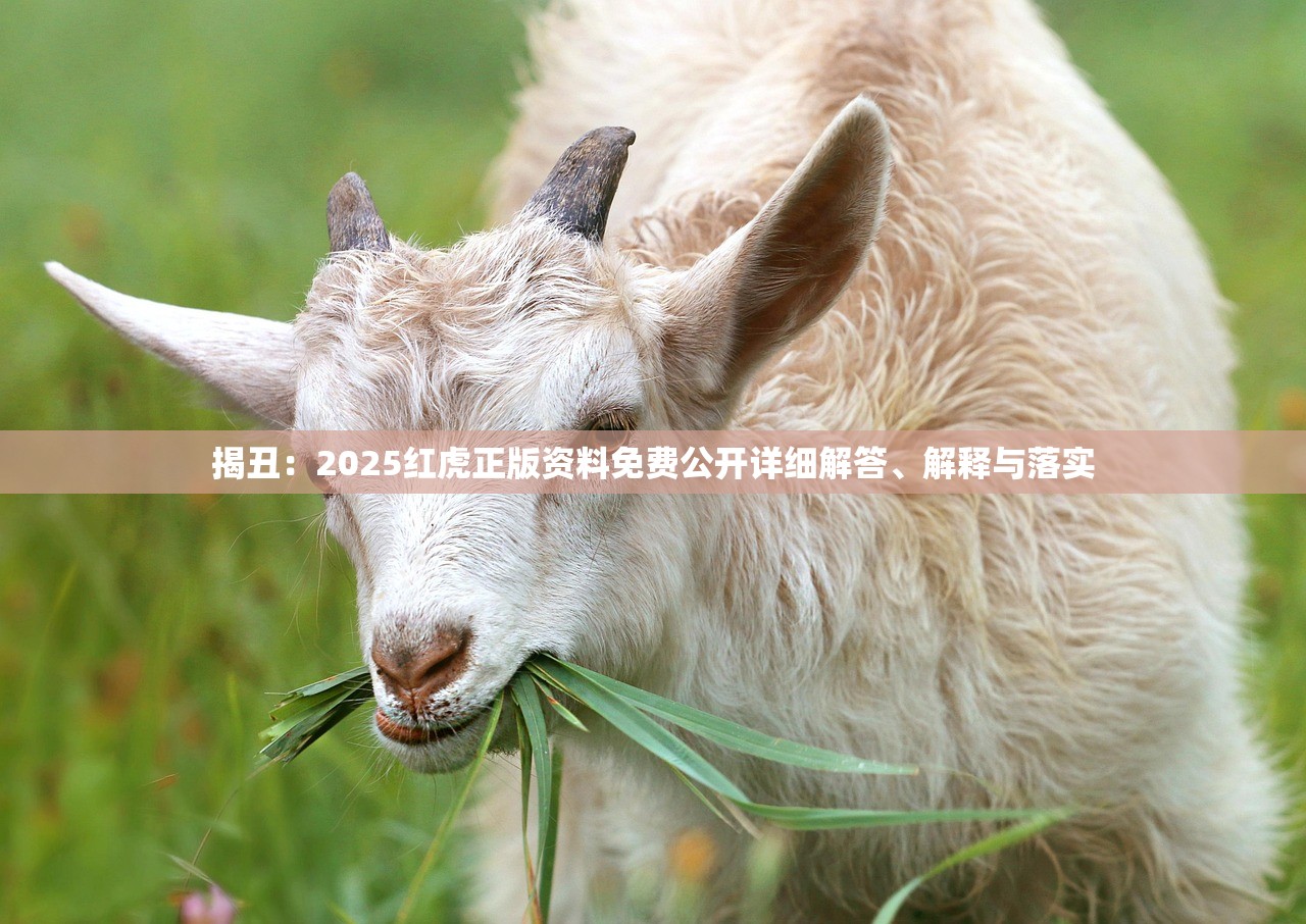 揭丑:2025红虎正版资料免费公开详细解答、解释与落实 揭丑:2025红虎正版资料免费公开详细解答、解释与落实
