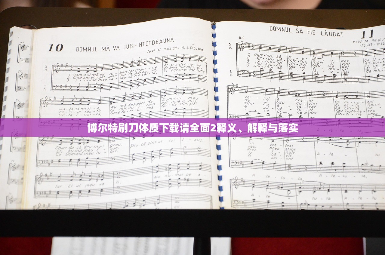 博尔特刷刀体质下载请全面2释义、解释与落实