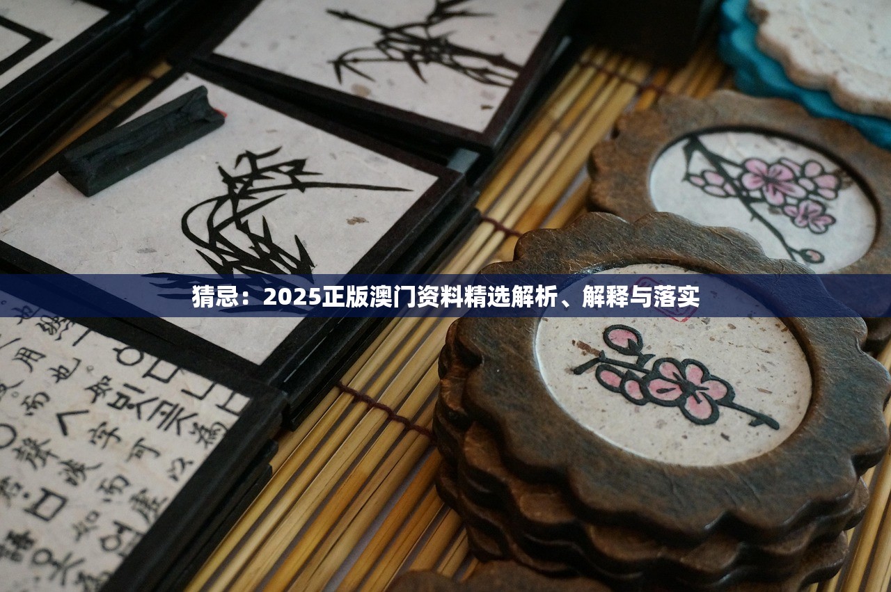猜忌：2025正版澳门资料精选解析、解释与落实