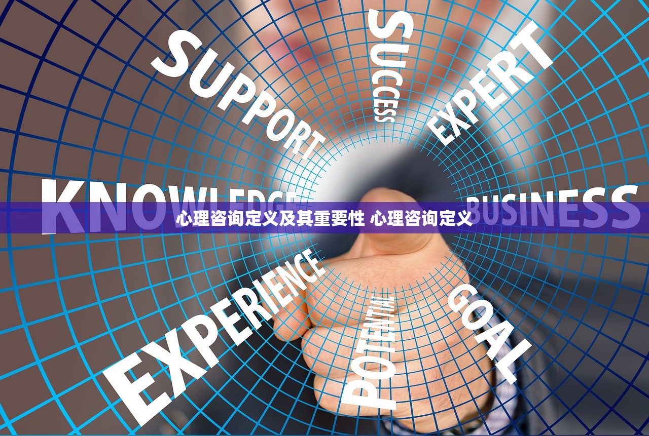 心理咨询定义及其重要性 心理咨询定义