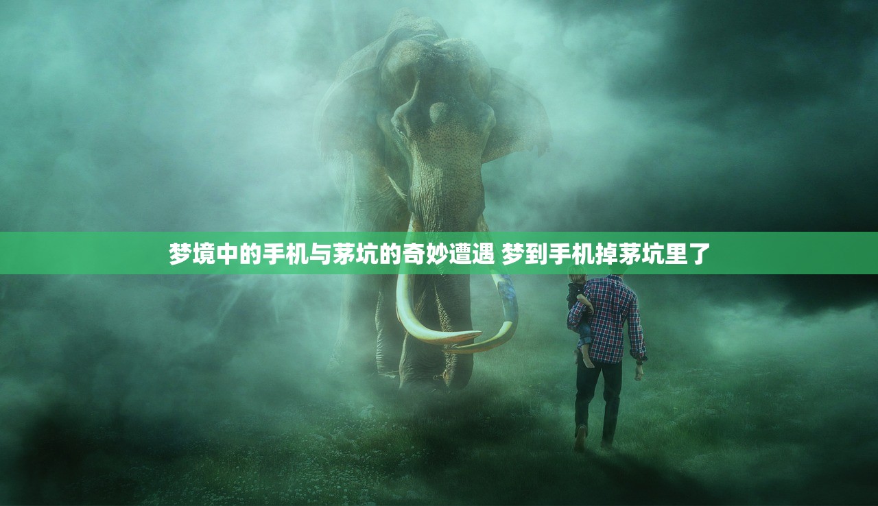 梦境中的手机与茅坑的奇妙遭遇 梦到手机掉茅坑里了