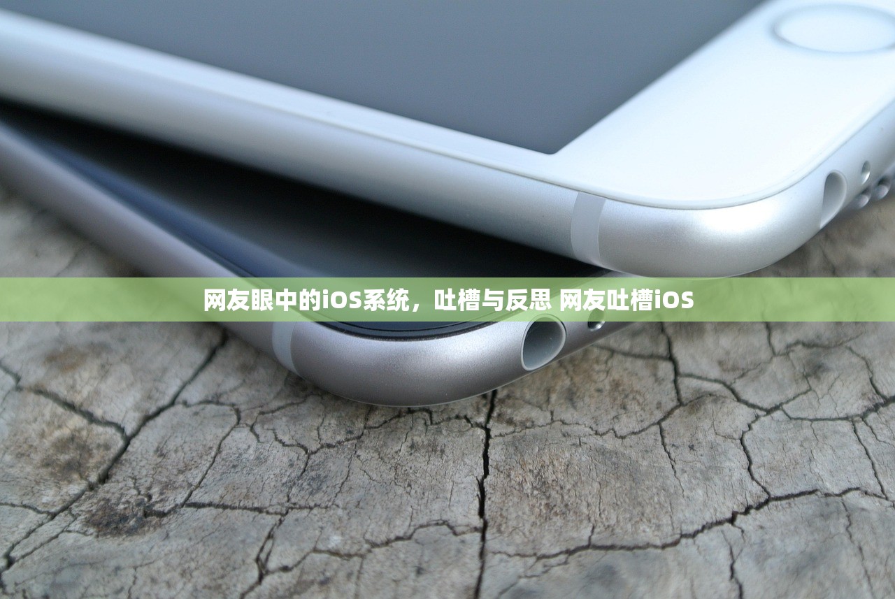 网友眼中的iOS系统，吐槽与反思 网友吐槽iOS