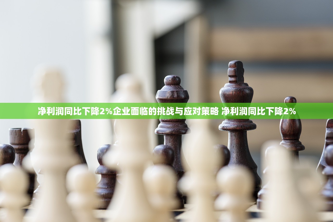 净利润同比下降2%企业面临的挑战与应对策略 净利润同比下降2%