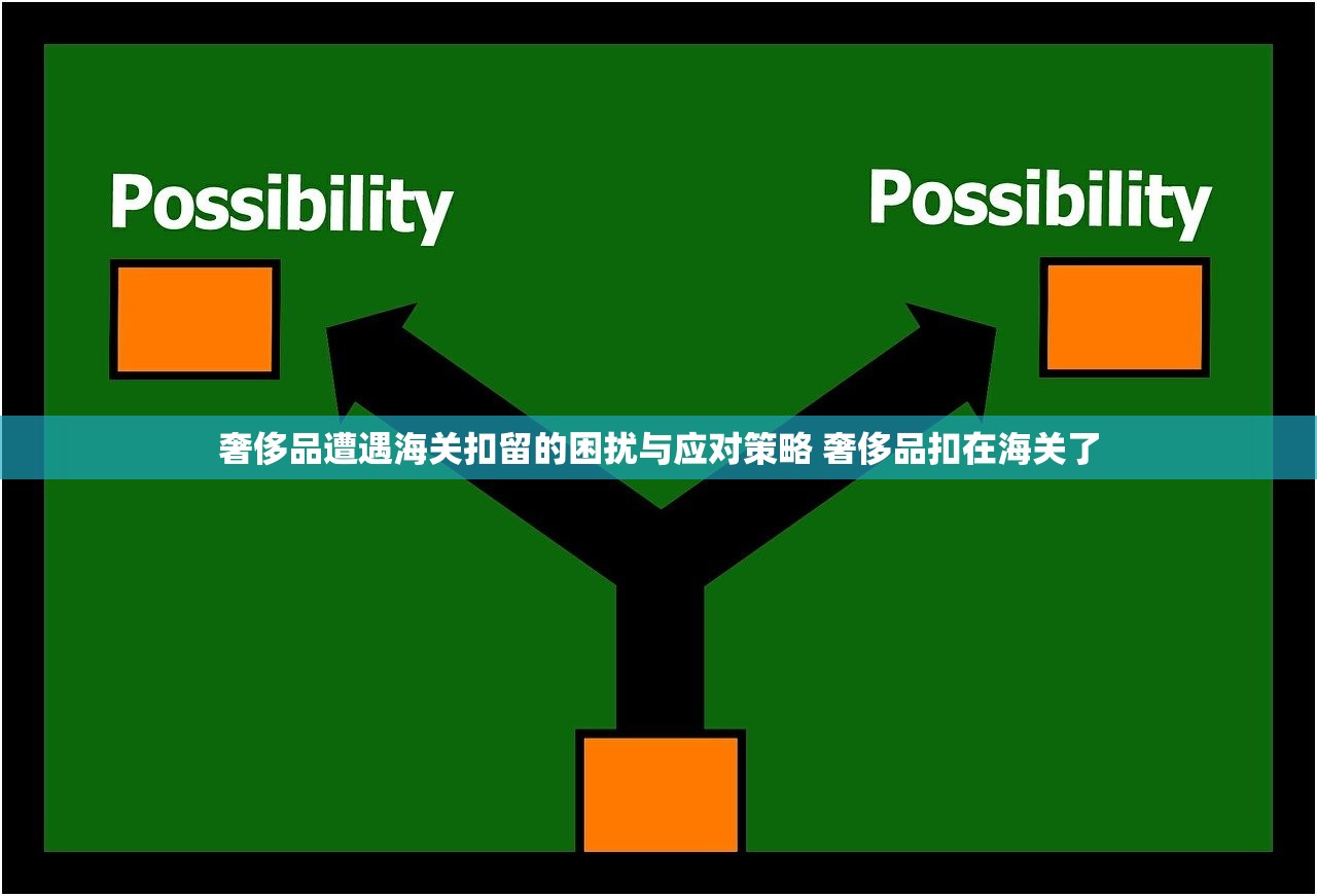奢侈品遭遇海关扣留的困扰与应对策略 奢侈品扣在海关了