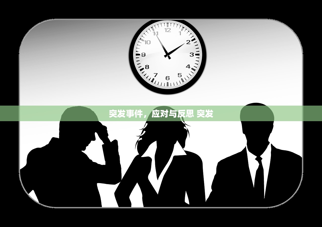 突发事件，应对与反思 突发