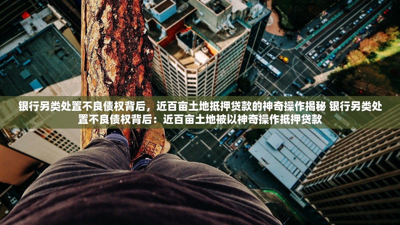 银行另类处置不良债权背后，近百亩土地抵押贷款的神奇操作揭秘 银行另类处置不良债权背后：近百亩土地被以神奇操作抵押贷款