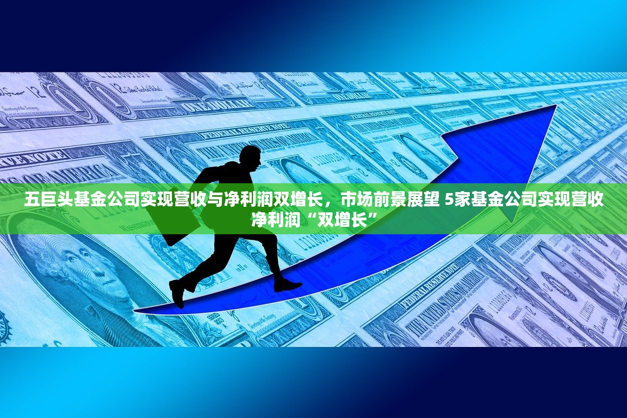 五巨头基金公司实现营收与净利润双增长，市场前景展望 5家基金公司实现营收净利润“双增长”