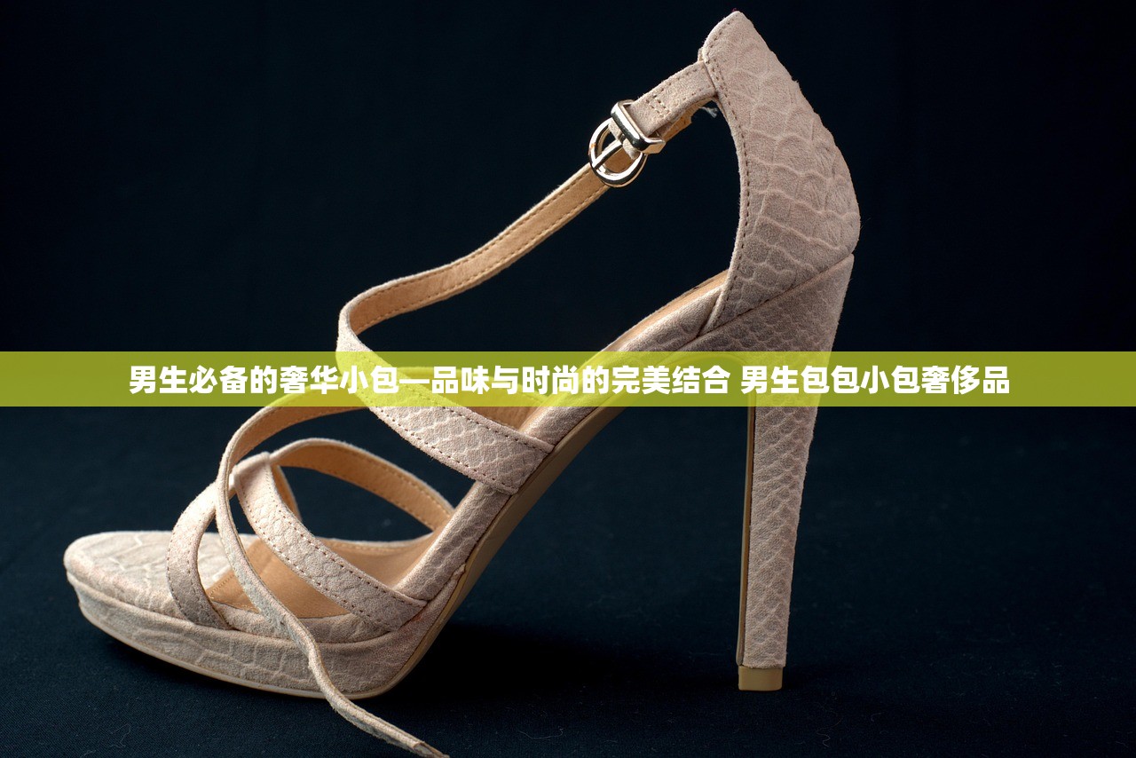 男生必备的奢华小包—品味与时尚的完美结合 男生包包小包奢侈品