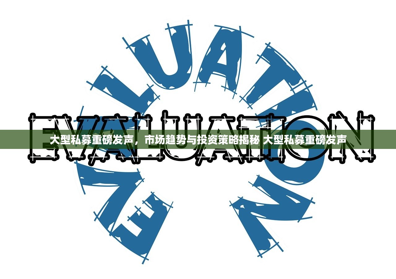大型私募重磅发声，市场趋势与投资策略揭秘 大型私募重磅发声