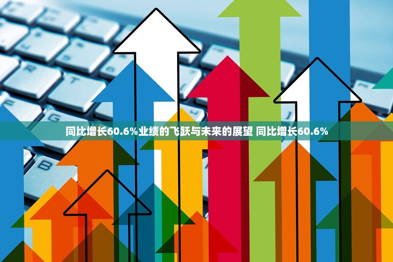 同比增长60.6%业绩的飞跃与未来的展望 同比增长60.6%