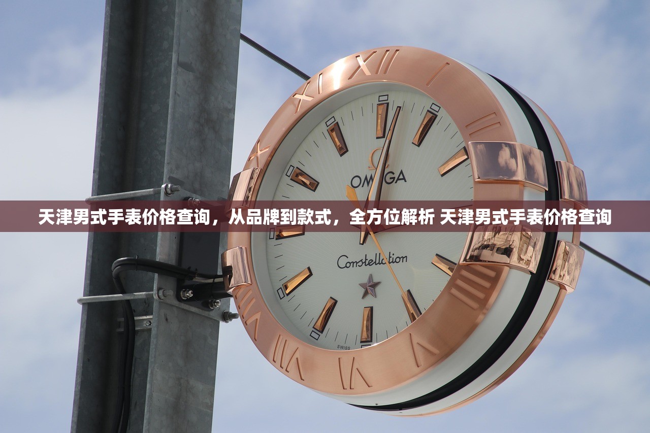 天津男式手表价格查询，从品牌到款式，全方位解析 天津男式手表价格查询
