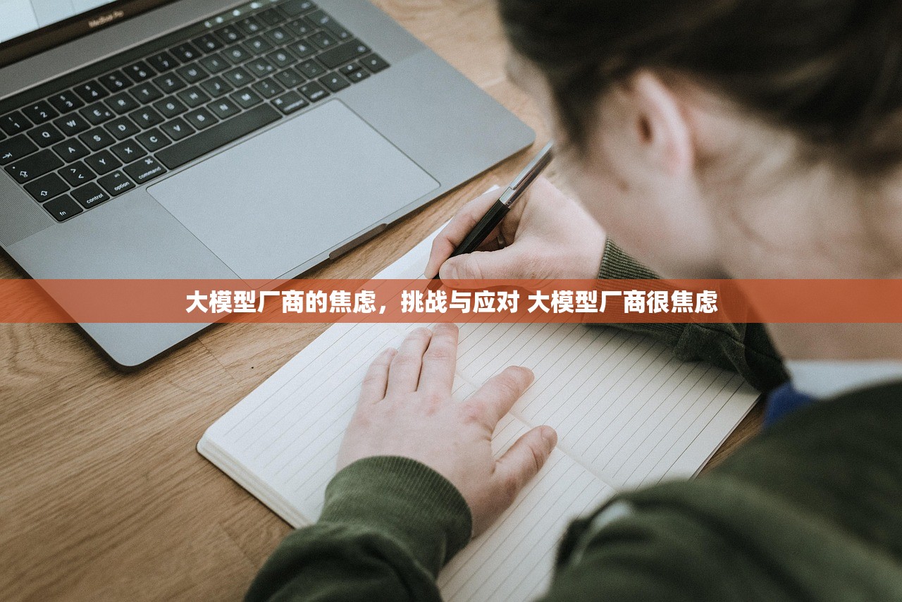 大模型厂商的焦虑，挑战与应对 大模型厂商很焦虑