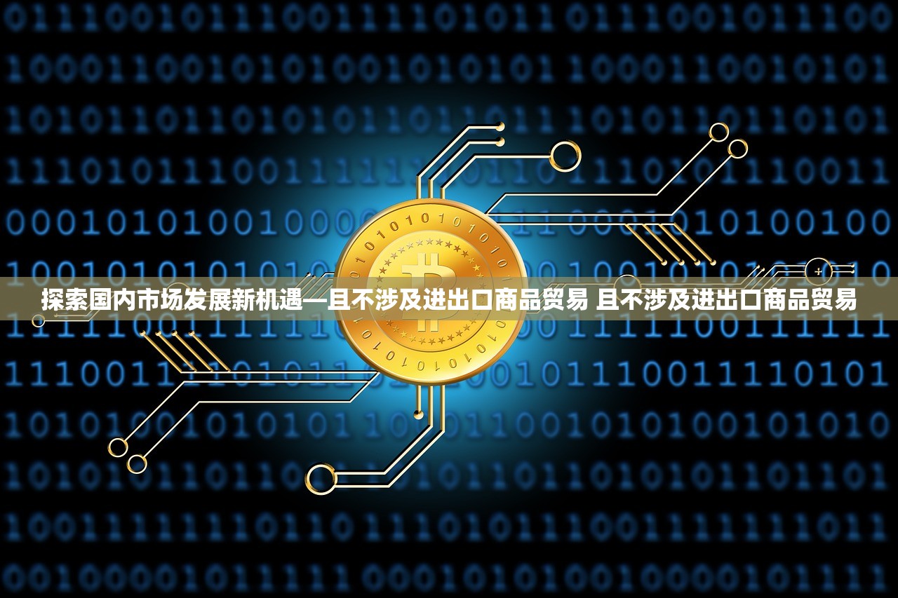 探索国内市场发展新机遇—且不涉及进出口商品贸易 且不涉及进出口商品贸易