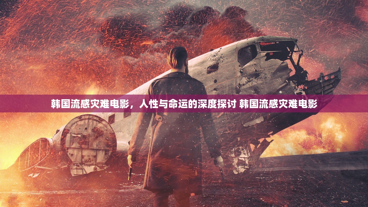 韩国流感灾难电影，人性与命运的深度探讨 韩国流感灾难电影
