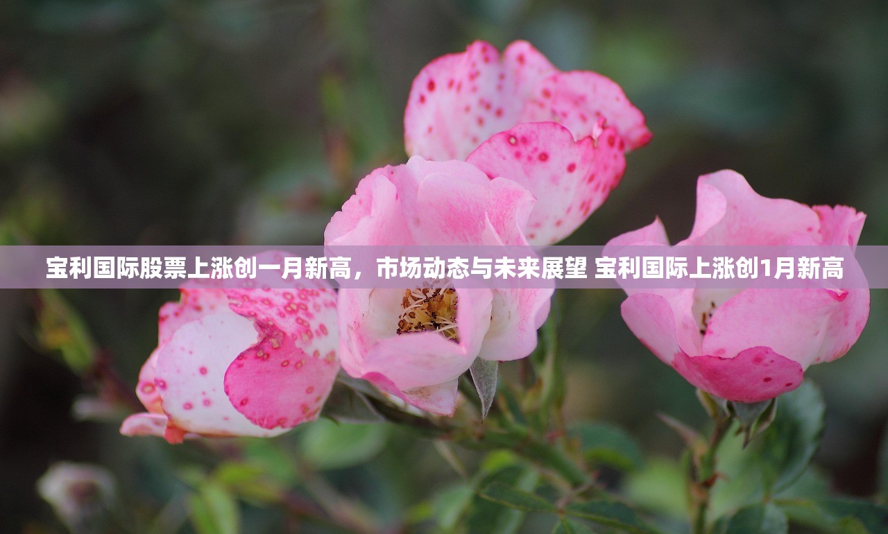 宝利国际股票上涨创一月新高，市场动态与未来展望 宝利国际上涨创1月新高