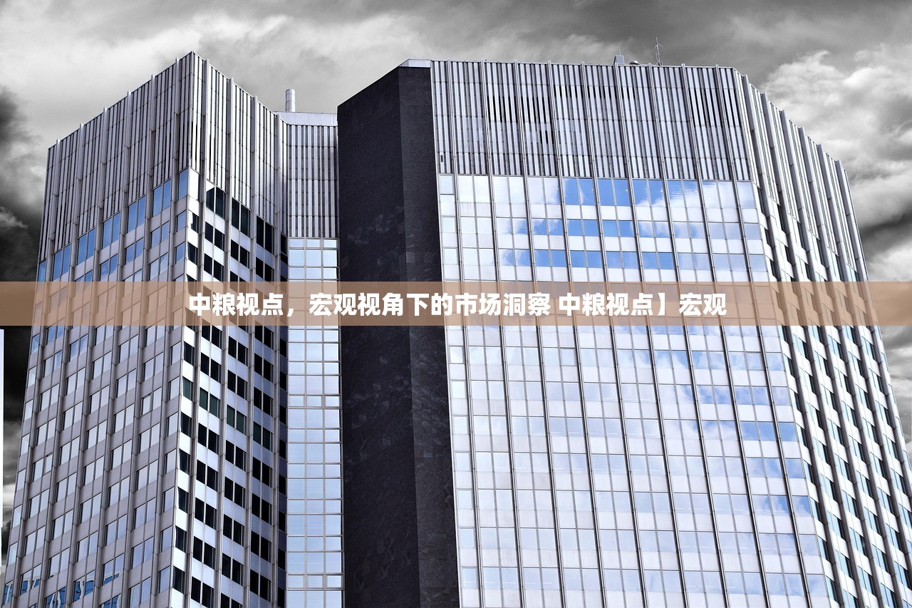 中粮视点，宏观视角下的市场洞察 中粮视点】宏观