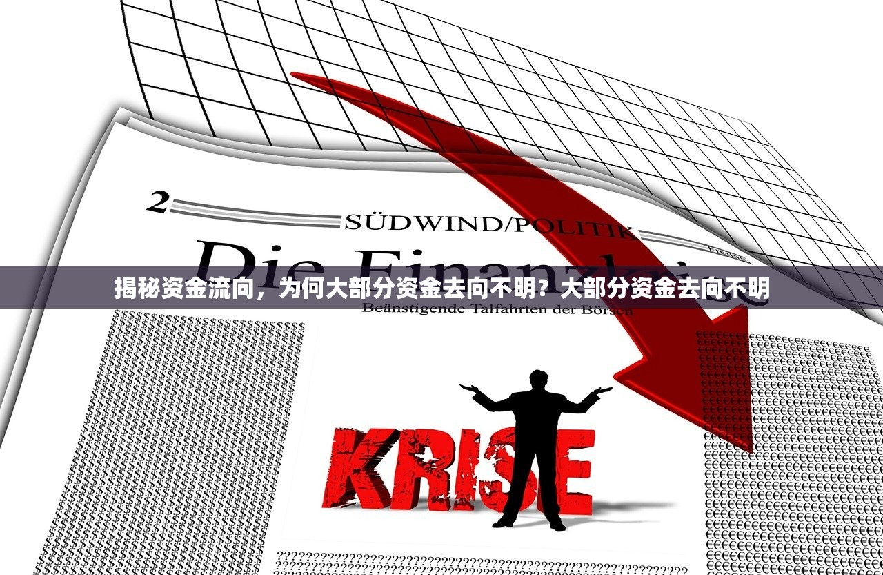 揭秘资金流向，为何大部分资金去向不明？大部分资金去向不明