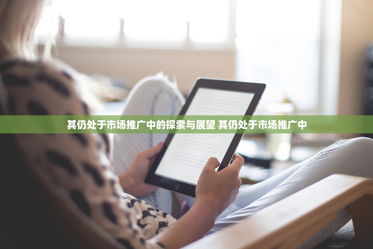 其仍处于市场推广中的探索与展望 其仍处于市场推广中