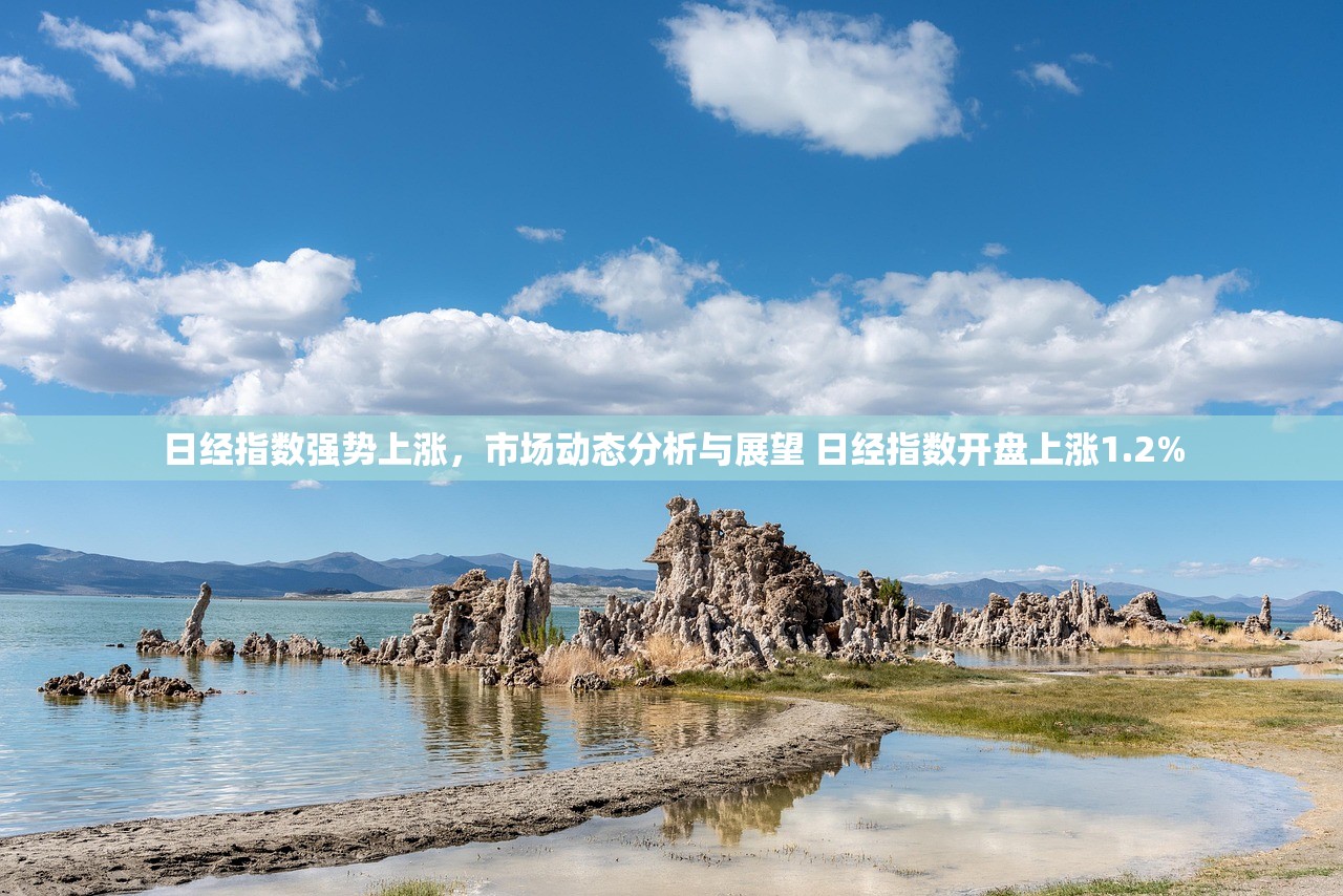 日经指数强势上涨，市场动态分析与展望 日经指数开盘上涨1.2%