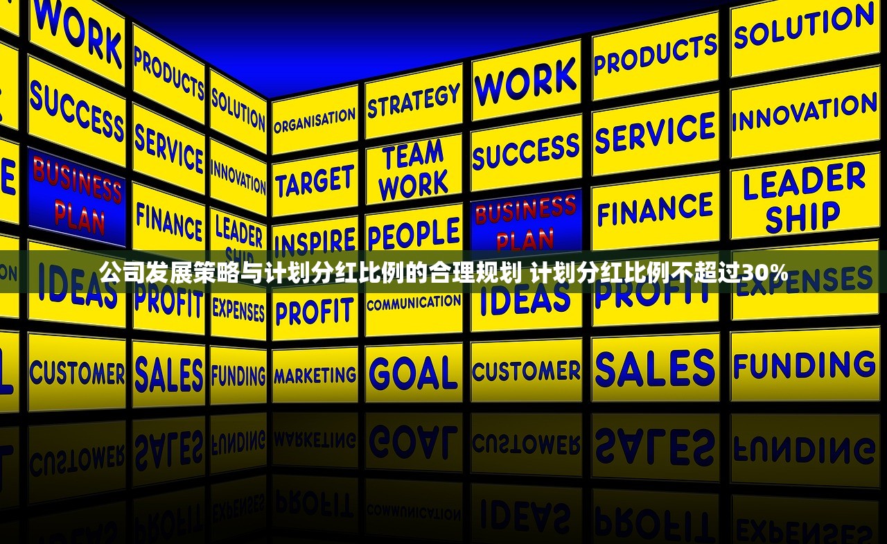公司发展策略与计划分红比例的合理规划 计划分红比例不超过30% 公司发展策略与计划分红比例的合理规划 计划分红比例不超过30%