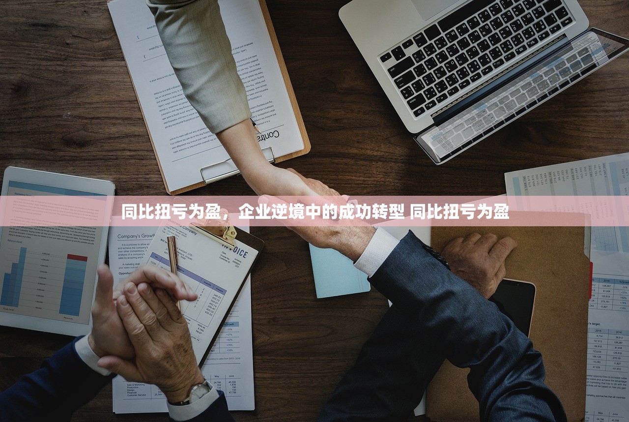 同比扭亏为盈，企业逆境中的成功转型 同比扭亏为盈
