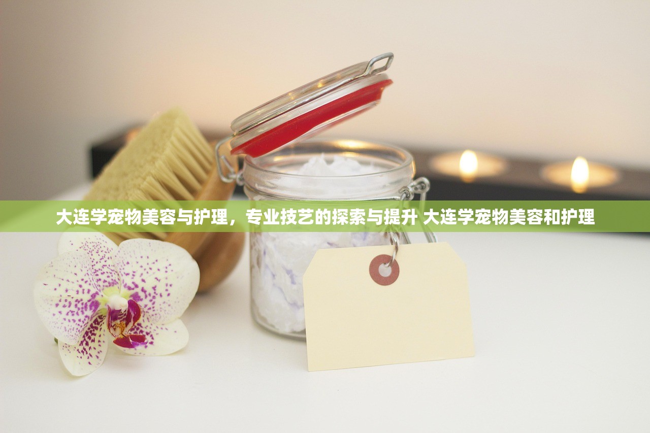 大连学宠物美容与护理，专业技艺的探索与提升 大连学宠物美容和护理