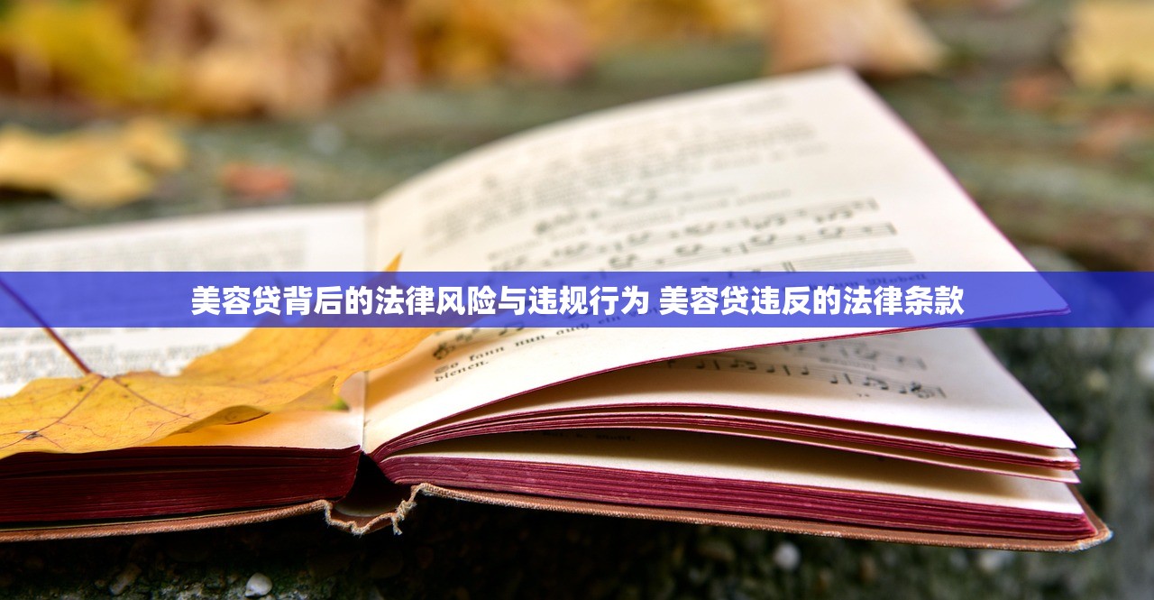 美容贷背后的法律风险与违规行为 美容贷违反的法律条款