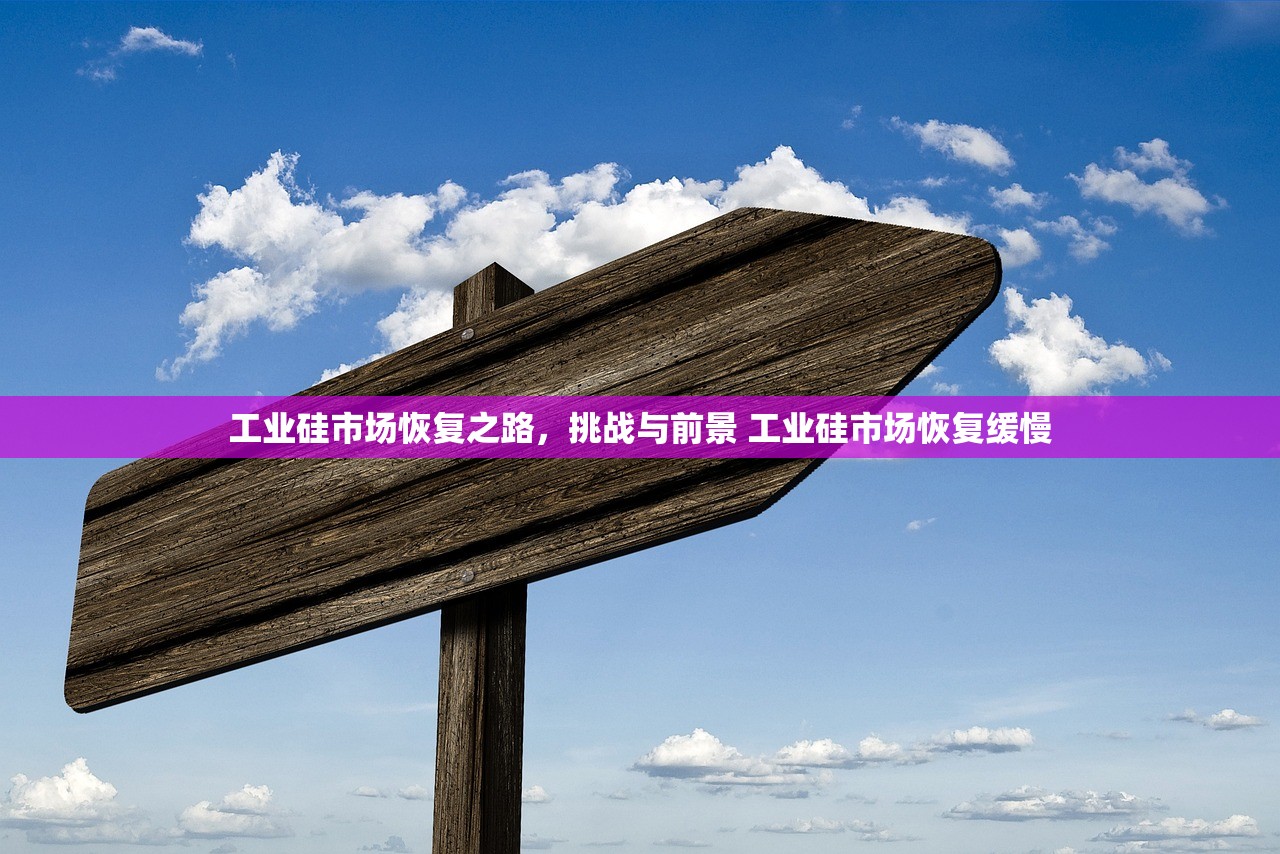工业硅市场恢复之路,挑战与前景 工业硅市场恢复缓慢 工业硅市场恢复之路,挑战与前景 工业硅市场恢复缓慢
