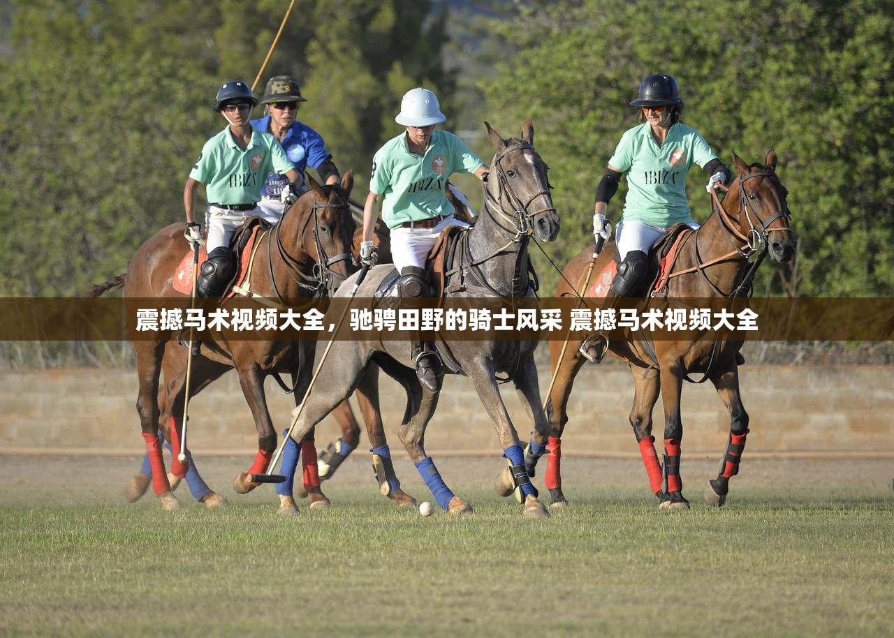 震撼马术视频大全，驰骋田野的骑士风采 震撼马术视频大全
