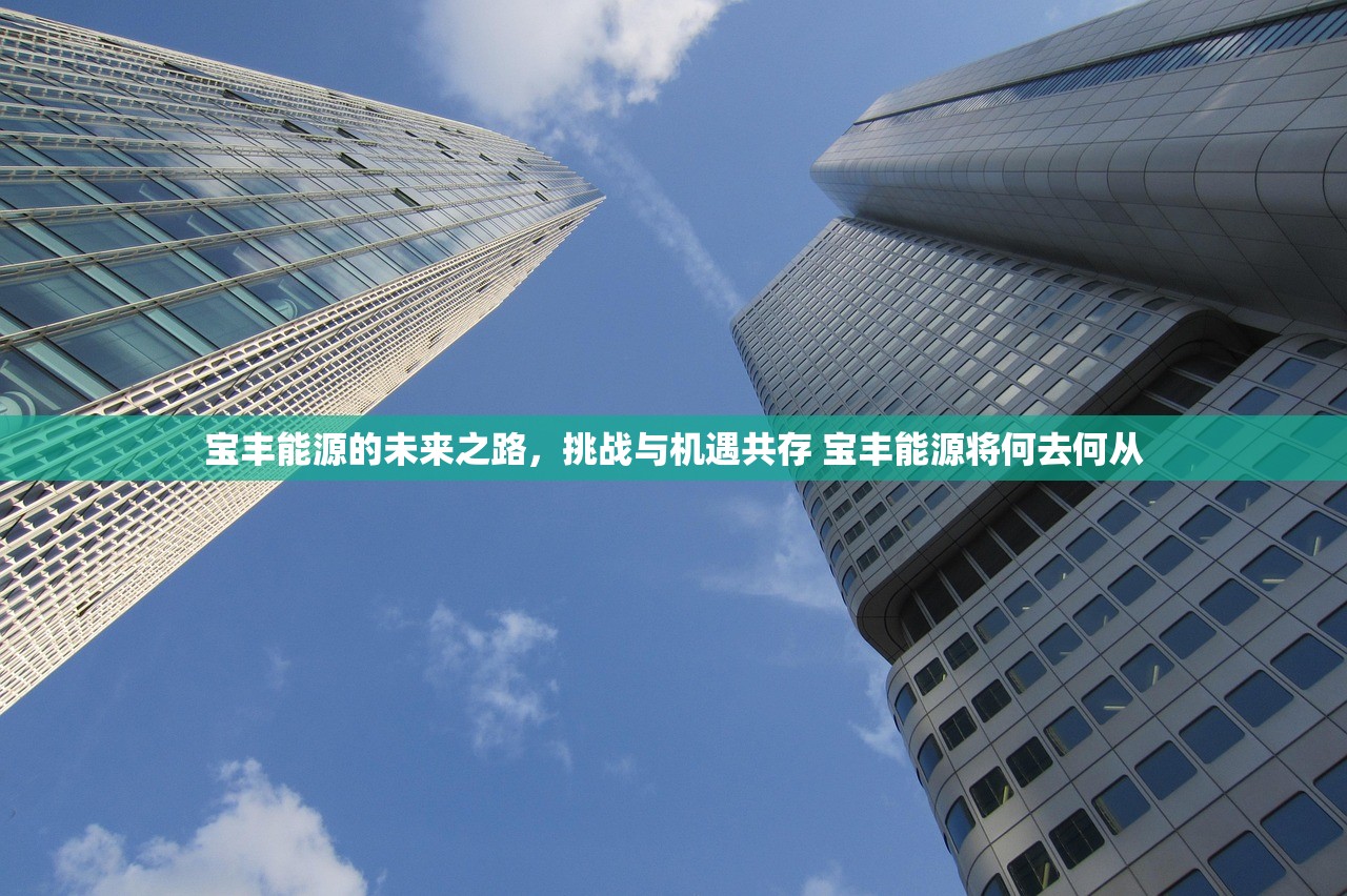 宝丰能源的未来之路,挑战与机遇共存 宝丰能源将何去何从 宝丰能源的未来之路,挑战与机遇共存 宝丰能源将何去何从