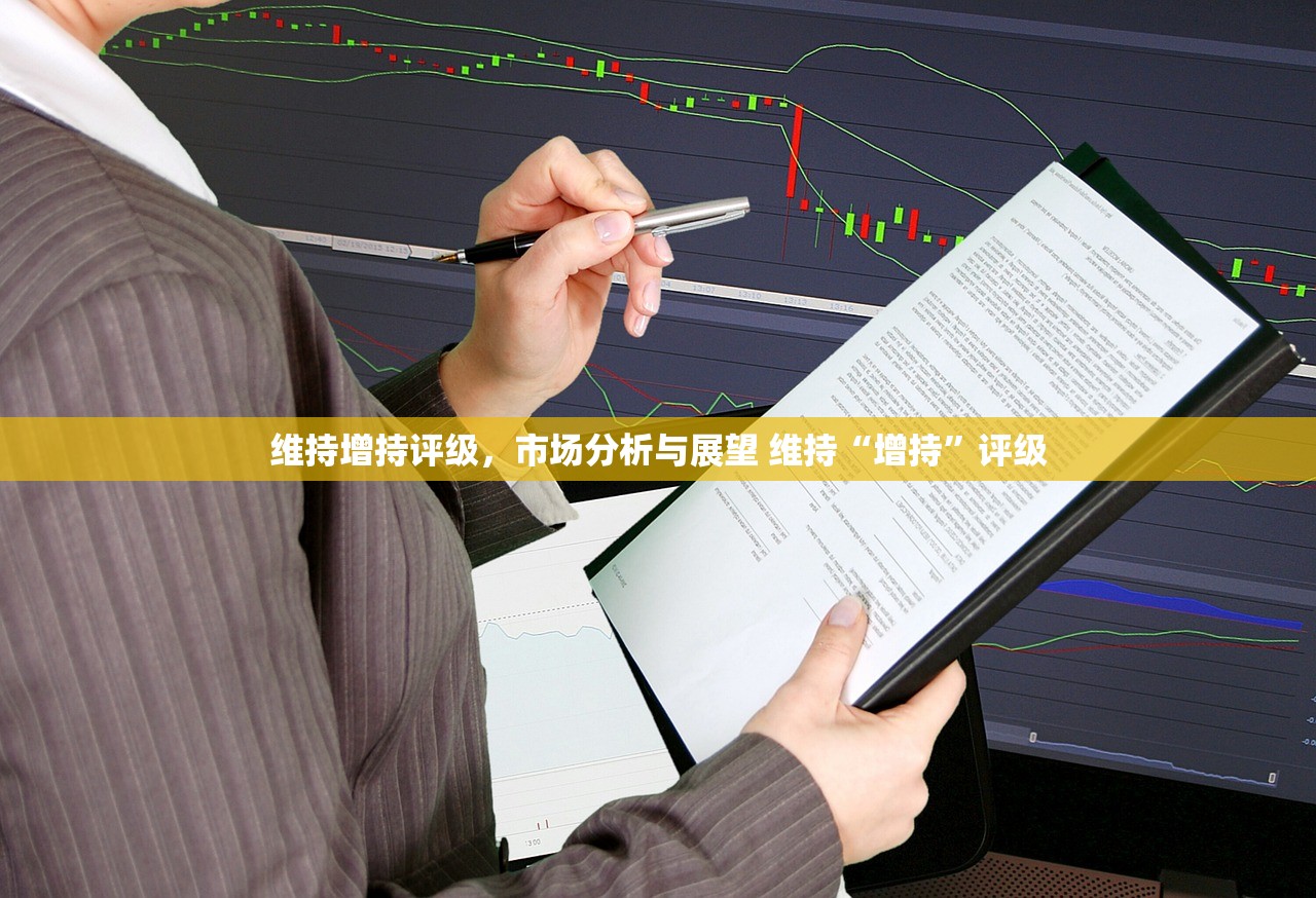 维持增持评级，市场分析与展望 维持“增持”评级