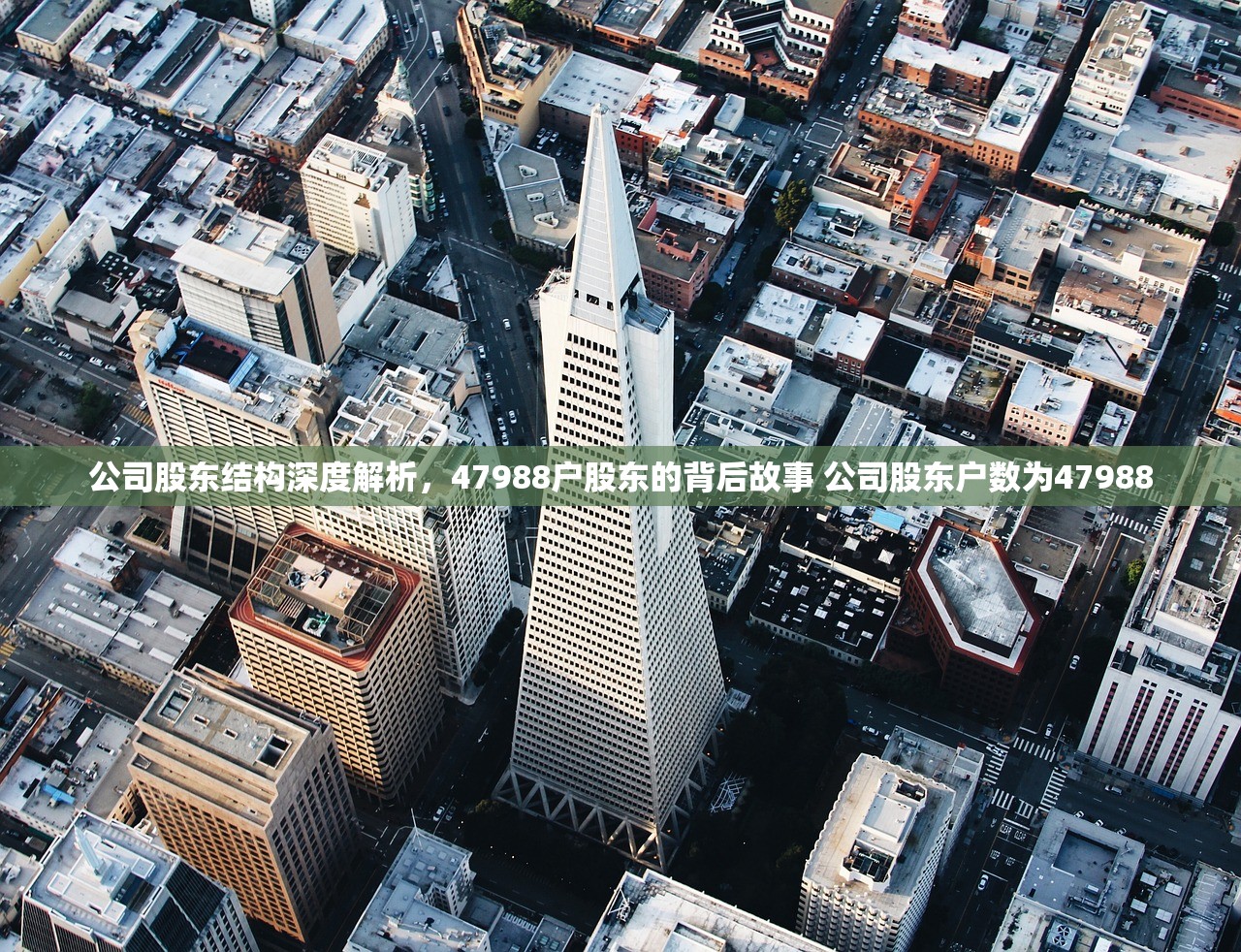 公司股东结构深度解析，47988户股东的背后故事 公司股东户数为47988