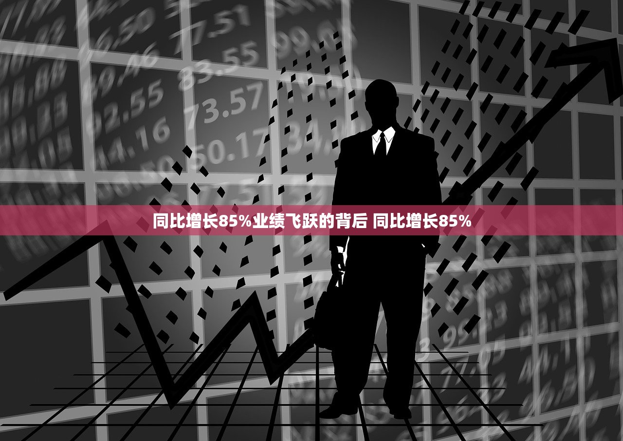 同比增长85%业绩飞跃的背后 同比增长85% 同比增长85%业绩飞跃的背后 同比增长85%