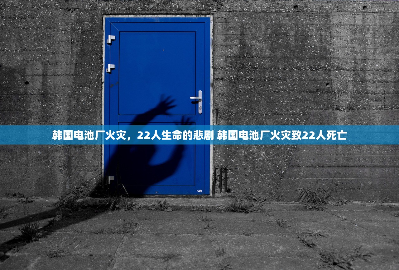 韩国电池厂火灾，22人生命的悲剧 韩国电池厂火灾致22人死亡