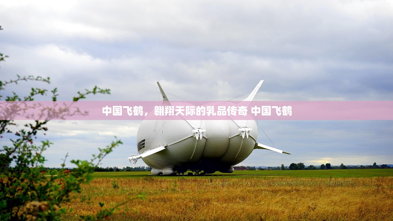 中国飞鹤，翱翔天际的乳品传奇 中国飞鹤