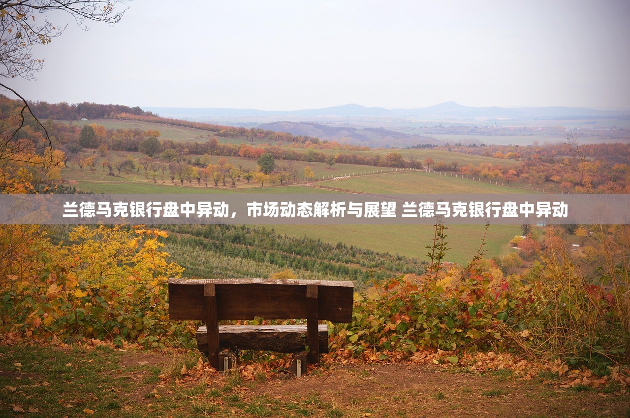 兰德马克银行盘中异动，市场动态解析与展望 兰德马克银行盘中异动