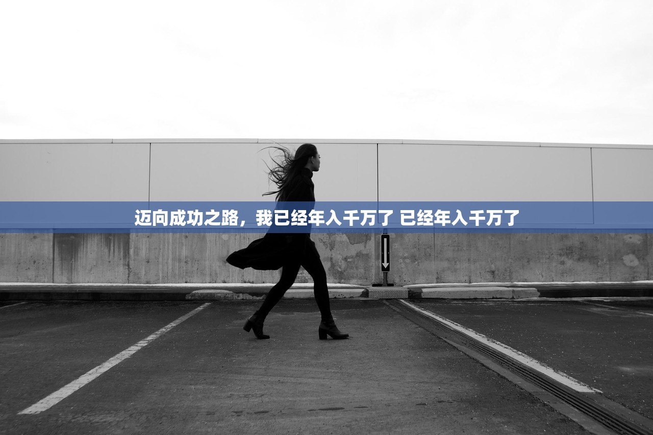 迈向成功之路，我已经年入千万了 已经年入千万了