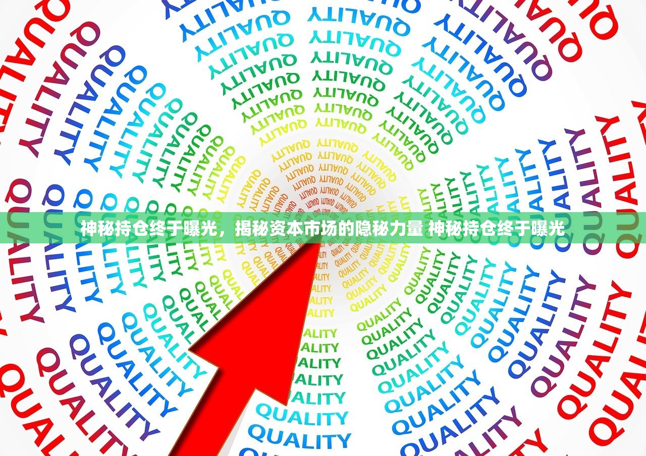 神秘持仓终于曝光，揭秘资本市场的隐秘力量 神秘持仓终于曝光