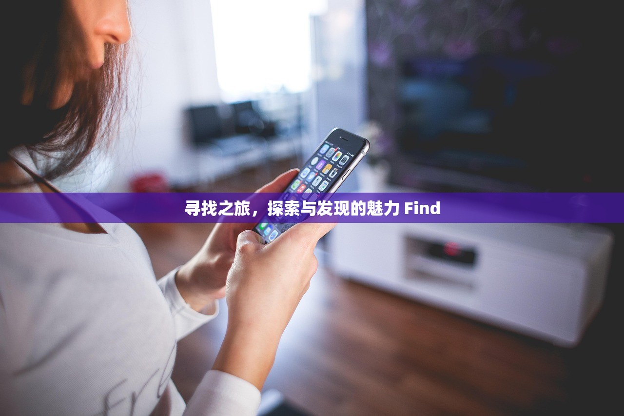 寻找之旅，探索与发现的魅力 Find